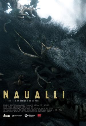 Naualli's poster