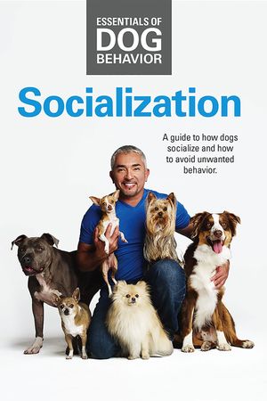 Essentials of Dog Behavior: Socialization's poster