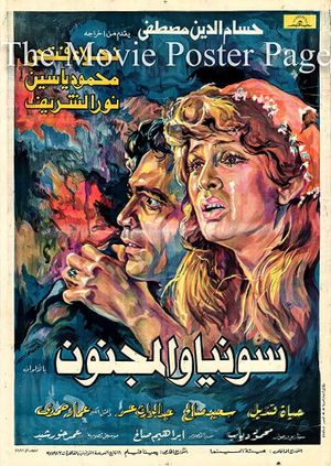 Sonya and the Madman's poster
