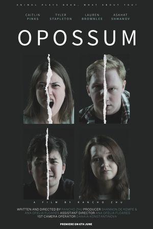 Opossum's poster