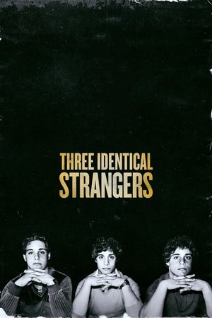 Three Identical Strangers's poster