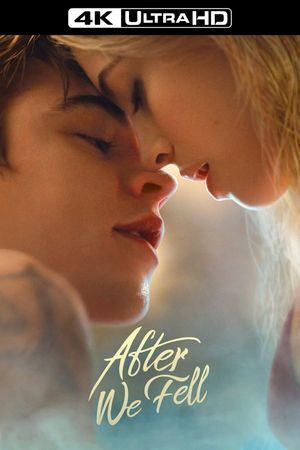 After We Fell's poster