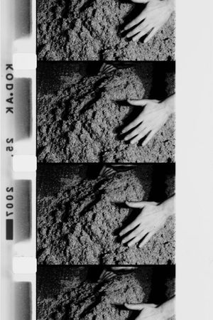 Hands Scraping's poster