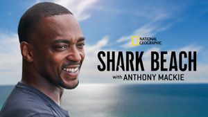 Shark Beach with Anthony Mackie's poster