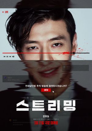 Streaming's poster