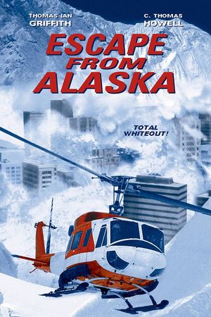 Avalanche's poster