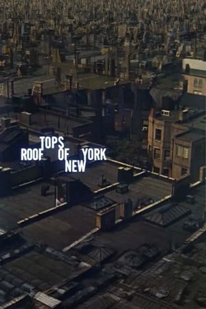 Rooftops of New York's poster