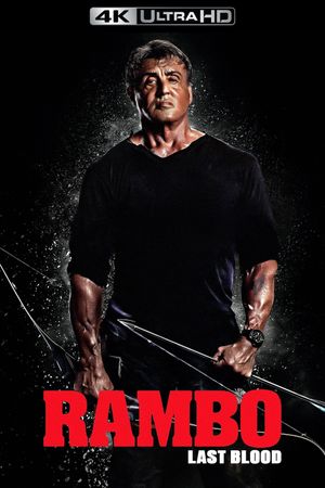 Rambo: Last Blood's poster