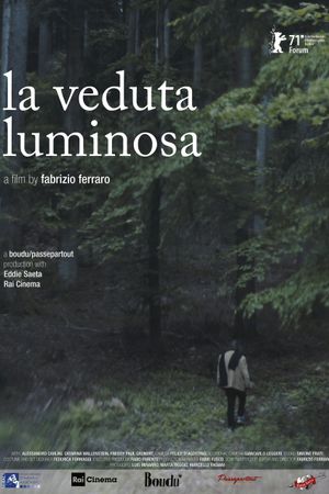The Luminous View's poster image