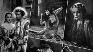 The King's Jester's poster