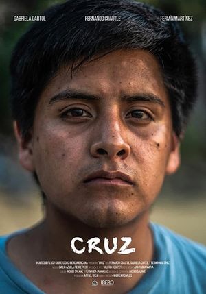 Cruz's poster
