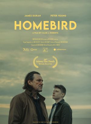 Homebird's poster image