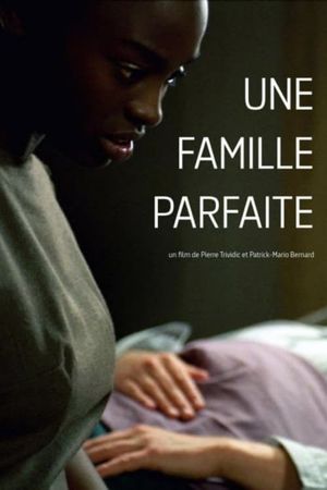 Une famille parfaite's poster