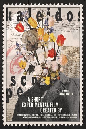 Kaleidoscope's poster