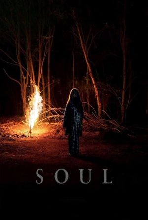 Soul's poster image