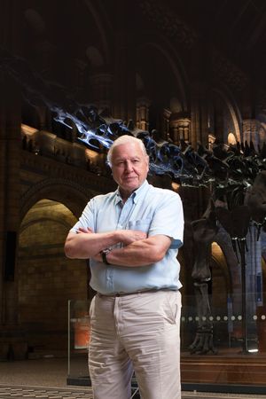 David Attenborough's Natural History Museum Alive's poster