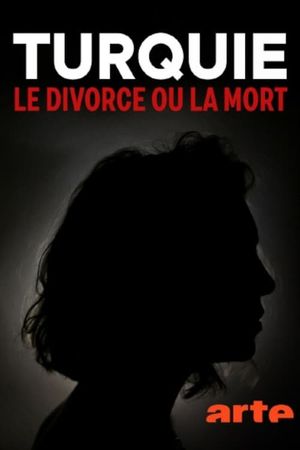Dying to Divorce's poster