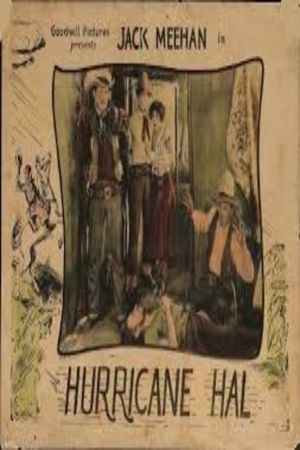 Hurricane Hal's poster