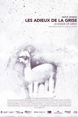 A Shade of Grey's poster