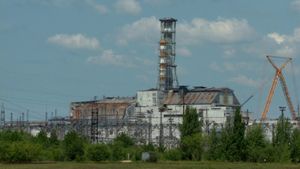 The Babushkas of Chernobyl's poster