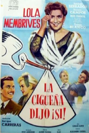 La cigüeña dijo sí's poster