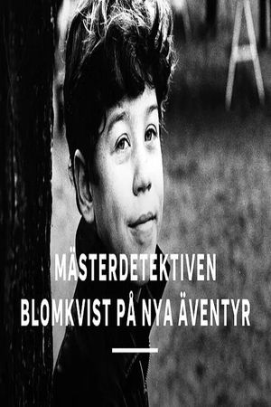 Mästerdetektiven Blomkvist på nya äventyr's poster