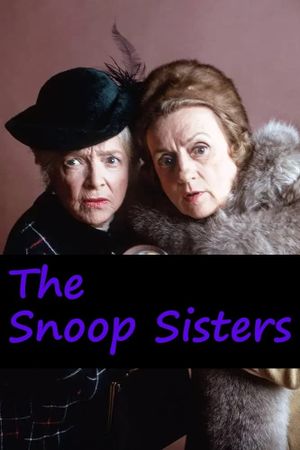 The Snoop Sisters's poster