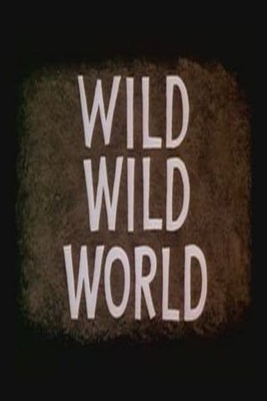 Wild Wild World's poster