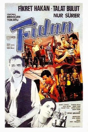 Fidan's poster