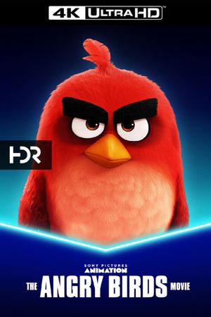 The Angry Birds Movie's poster