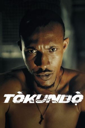 Tòkunbò's poster