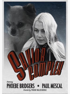 Saviour Complex's poster