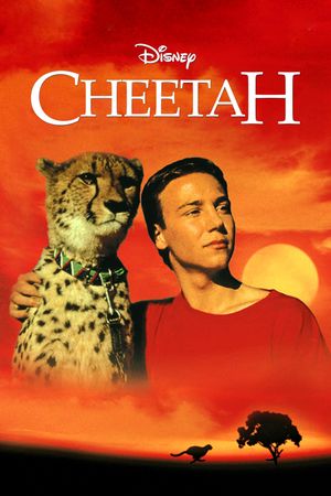 Cheetah's poster