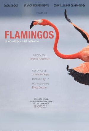 Flamingos's poster
