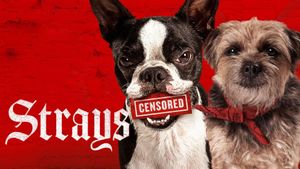 Strays's poster