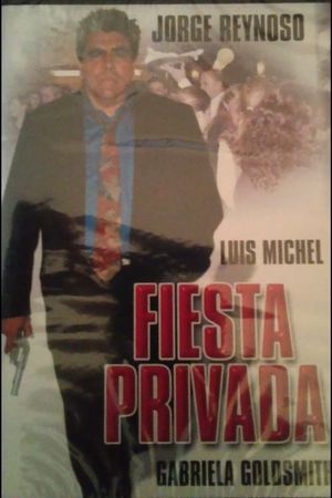 Fiesta privada's poster