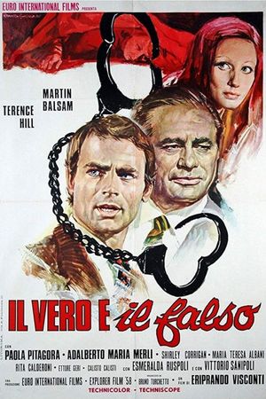 The Hassled Hooker's poster
