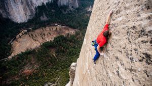 The Dawn Wall's poster