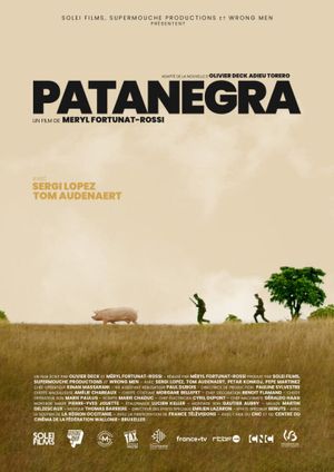 Patanegra's poster image