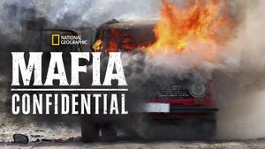 Mafia Confidential's poster