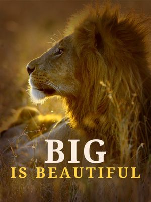 Big is Beautiful's poster