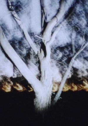 The Land at Night's poster