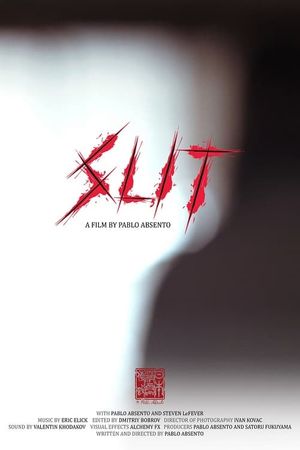 Slit's poster