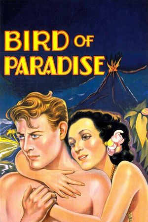 Bird of Paradise's poster