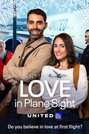 Love in Plane Sight's poster