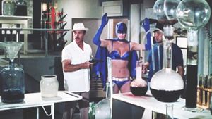 The Bat Woman's poster
