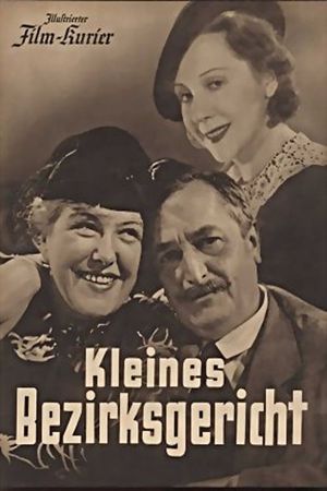 Kleines Bezirksgericht's poster