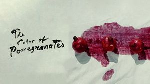 The Color of Pomegranates's poster