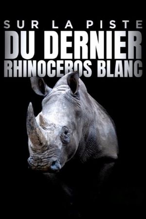 Sur la piste du dernier rhinocéros blanc's poster