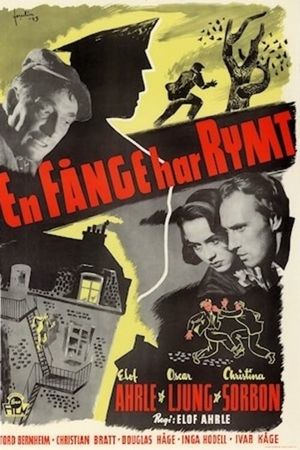 En fånge har rymt's poster image